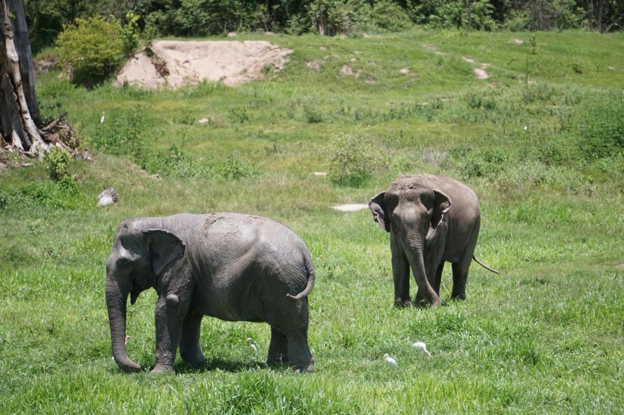 I Love Phants Lodge Ban Huai Thawai Exterior photo